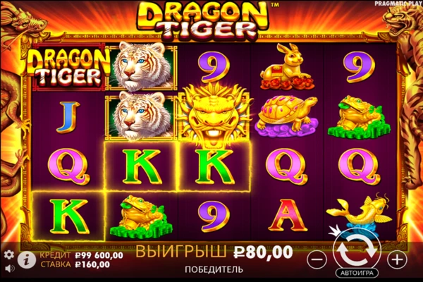 dragon tiger 6