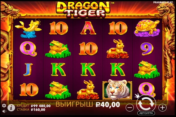 dragon tiger 7