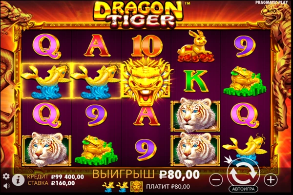 dragon tiger 8