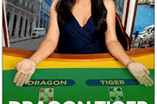 dragon tiger da sorte 6