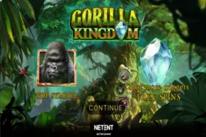gorilla kingdom gorilla kingdom 300x200